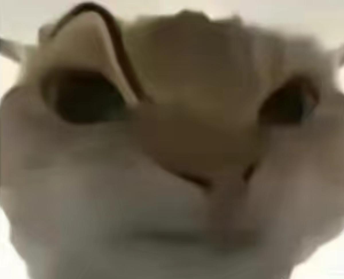 什么是米水生物？