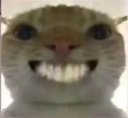 第一届SB锦标赛于3月19日成功举办