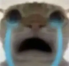 拉闸被悬赏事件（由林清轩独家冠名播出）