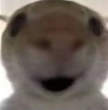 第二届SB锦标赛收官！